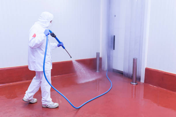 Best Building Exterior Washing  in Troy, TN
