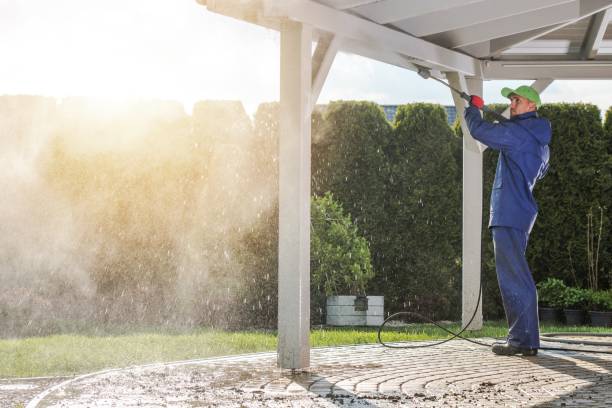 Solar Panel Cleaning in Troy, TN