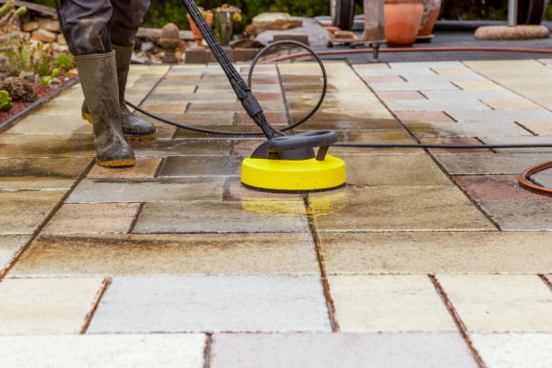 Best Pre-Holiday Cleaning  in Troy, TN